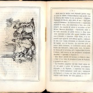 La Storia Sacra narrata da una madre a suoi figliuoletti. Nuovo Testamento. Secondo vol. Che comprende le cose avvenute dalla terza Pasqua celebrata da Gesù dopo il Suo battesimo fino alla sua Ascensione.