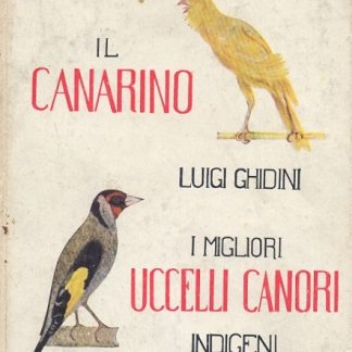 Il canarino. I migliori uccelli canori indigeni.