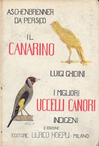 Il canarino. I migliori uccelli canori indigeni.