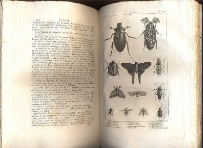 Nouveau Dictionnaire d'histoire naturelle, appliquee aux arts, principalement à l'agriculture et à l'economie rurale et domestique. Par une societe de naturalistes et d'agriculteurs: avec des figures tirees des trois regnes de la nature.