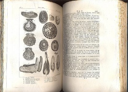 Nouveau Dictionnaire d'histoire naturelle, appliquee aux arts, principalement à l'agriculture et à l'economie rurale et domestique. Par une societe de naturalistes et d'agriculteurs: avec des figures tirees des trois regnes de la nature.