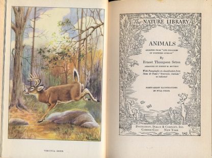 Animals (The nature library).