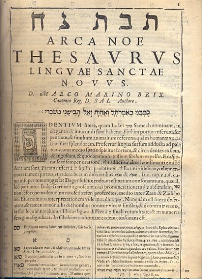 Arca Noe Thesaurus Linguae Sancatae Novus. Parte seconda.