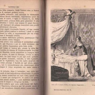 Eugenia Montijo già Imperatrice dei Francesi ovvero i misteri delle Tuileries. Racconto storico romantico.