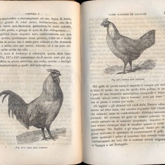 Il pollaio, ossia l'industria dei volatili da cortile. Parte prima: galli, galline e capponi. Parte seconda: oche, anitre e tacchini.