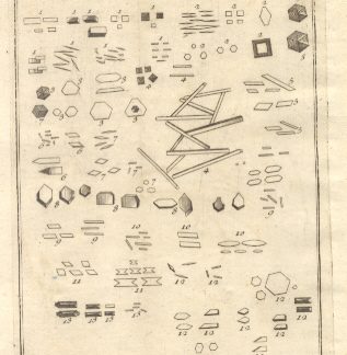 Oggetti veduti con il microscopio, tav. VI. Tratta dal Dizionario Universale delle arti e scienze del Chambers.