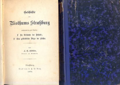 Geschichte des bisthums Strasburg.