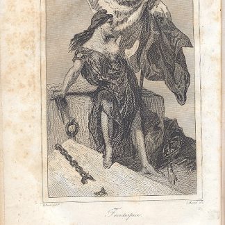 Les francais sous la revolution . avec quarante scenes et types dessines par M. H. Baron, graves sur acier par M. L. Massard.