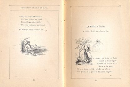 Inspirations du Vesuve. Poesies volcaniques. Illustrees de vingt ornements graves sur bois par Schreyer et d'une couverture en chromolithographie, le tout execute d'apres les dessins de David Clarens.