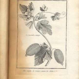 Histoire universelle du regne vegetal, ou nouveau dictionnaire physique et oeconomique, de toutes les plantes qui croissent sur la surface du globe... Recueil de differentes plantes gravees et donnes. Pour servir a l'histoire generale des plantes de la Lorraine.