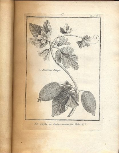 Histoire universelle du regne vegetal, ou nouveau dictionnaire physique et oeconomique, de toutes les plantes qui croissent sur la surface du globe... Recueil de differentes plantes gravees et donnes. Pour servir a l'histoire generale des plantes de la Lorraine.