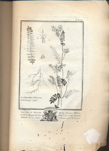 Histoire universelle du regne vegetal,... Distribution des planches du traite historique des plantes de Lorraine.