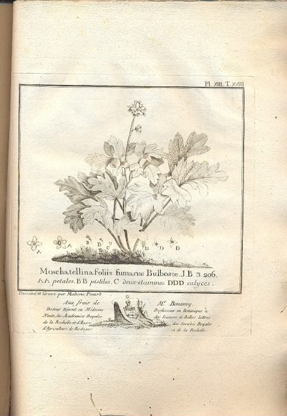 Histoire universelle du regne vegetal,... Distribution des planches du traite historique des plantes de Lorraine.