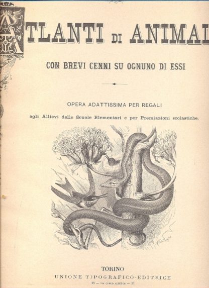 Atlanti di animali con brevi cenni su ognuno di essi.