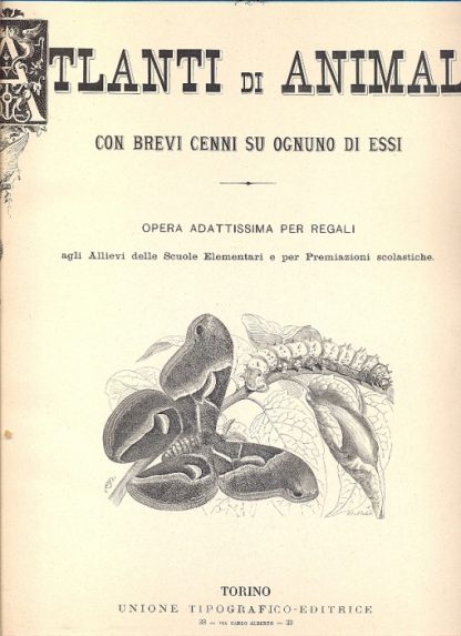 Atlanti di animali con brevi cenni su ognuno di essi.