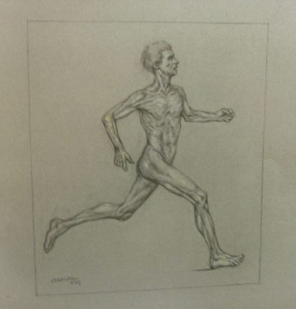 Anatomia di un atleta.