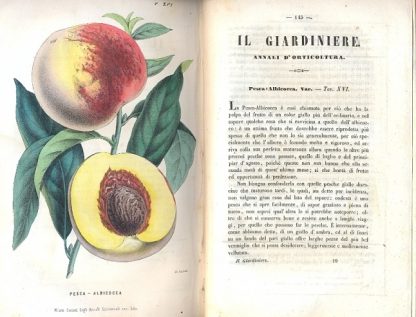 Annali d'agricoltura. In continuazione del Giornale Agrario Lombardo - Veneto.