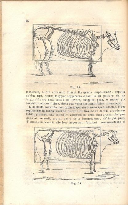 Il coltivatore. Giornale d'agricoltura pratica, diretto dal Cav. Ottavi.