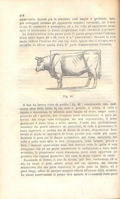 Il coltivatore. Giornale d'agricoltura pratica, diretto dal Cav. Ottavi.