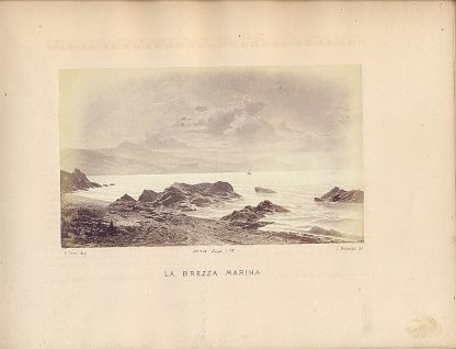 Album della Pubblica Esposizione del 1867.