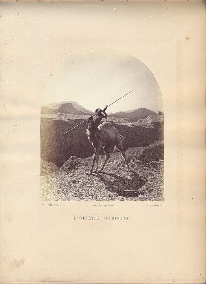 Album della Pubblica Esposizione del 1867.