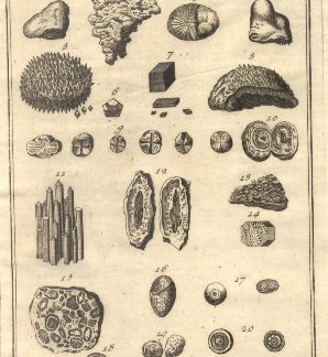 Fossili, tav. III. Tratta dal Dizionario Universale delle arti e scienze del Chambers.