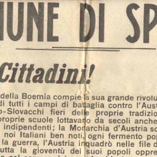 Comune di Spello. Cittadini ! Il popolo della Boemia compie la sua grande rivoluzione lanciandosi dalle trincee di tutti i campi di battaglia contro l'Austria tiranna.