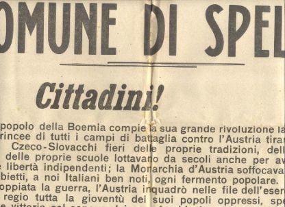 Comune di Spello. Cittadini ! Il popolo della Boemia compie la sua grande rivoluzione lanciandosi dalle trincee di tutti i campi di battaglia contro l'Austria tiranna.