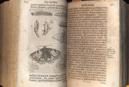 Institutio philosophiae secundum Principia D. Renati Descartes: Nova Methodo adornata & explicata. Cumque Indice locupletissimo aucta.