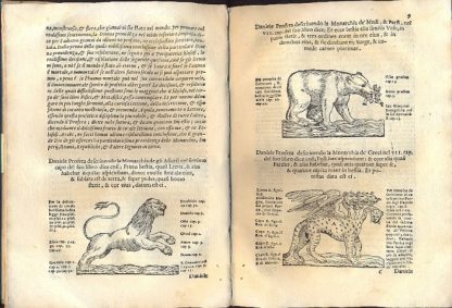 Espositione dell' XI et XII Cap. del IIII Lib. d'Esdra: Sopra gli accidenti passati presenti e futuri della Revolutione del grande & tremendo Imperio dell'Aquila: Quarta, & ultima Monarchia nel mondo. Nuovamente composta per l'Eccellentiss. M. Marco Antonio Lovisino Udinese, in Filosofia, Medicina & in altre Arti & Scienze Dottore.