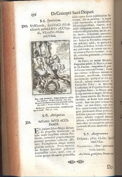 Conceptus chronographicus de concepta Sacra Deipara. Septingentis Sacrae Scripturae, SS Patrum ac rationum nec non historiarum , symbolorum, antiquitatum, et anagrammatum suffragiis roboratus. Ac totidem praefixis cronographicis, annum currentem prodentibus copiose instructus.