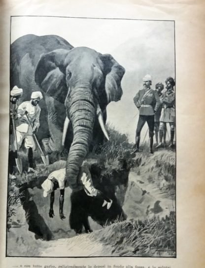 Il Carnet d'un Elefante Avventure illustrate da 16 disegni di G.Amato