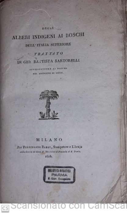 Degli alberi indigeni ai boschi dell'Italia superiore. Trattato.