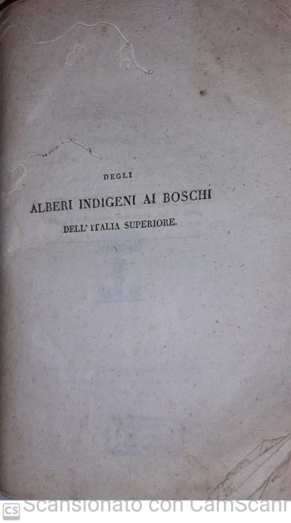 Degli alberi indigeni ai boschi dell'Italia superiore. Trattato.