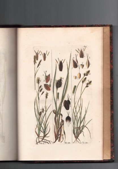 Histoire des Carex ou laiches, contenant la description et les figures coloriees de toutes les especes connues et d'un grand nombre d'especes nouvelles