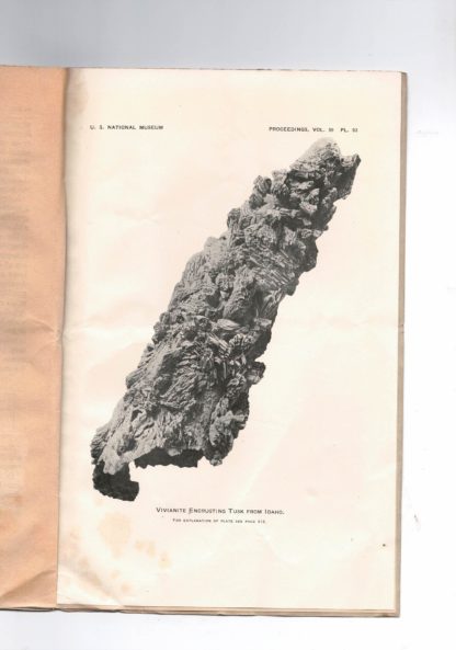 Description of vivianite encrusting a fossil tusk from gold placers of Clearwater County, Indaho. N. 2375 - From te Proceeding of the United States National Museum, Vol. 59, pp. 415 - 417, with plate 93.