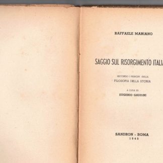 Saggio sul risorgimento italiano. Secondo i principi della filosofia della storia.