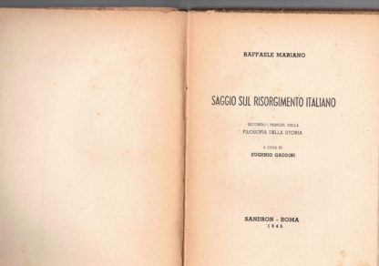 Saggio sul risorgimento italiano. Secondo i principi della filosofia della storia.