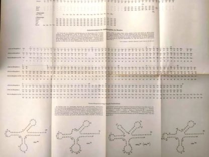 Kurzes Lehrbuch der Biochemie für Mediziner und Naturwissenschaftler.