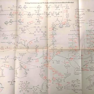 Kurzes Lehrbuch der Biochemie für Mediziner und Naturwissenschaftler.