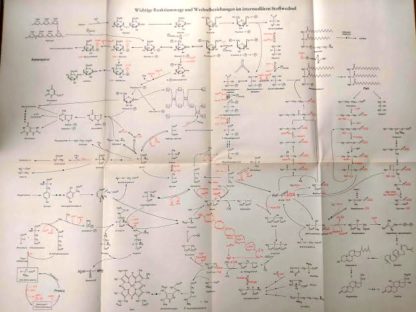 Kurzes Lehrbuch der Biochemie für Mediziner und Naturwissenschaftler.