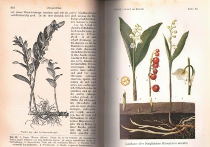 Lehrbuch der Botanik für höhere Lehranstalten und die Hand des Lehrers.sowie fur alle Freunde der Natur