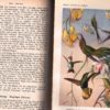 Lehrbuch der Zoologie für höhere Lehranstalten und die Hand des Lehrers, sowie für alle Freunde der Natur.