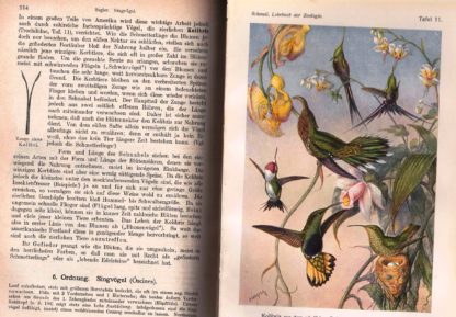 Lehrbuch der Zoologie für höhere Lehranstalten und die Hand des Lehrers, sowie für alle Freunde der Natur.