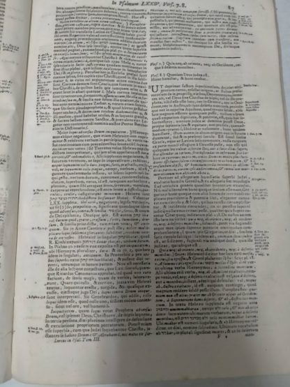 Commentarii in Librum Psalmorum. Quator tomis comprehensi, in quibus praeter accuratam sensus literalis explanationem, variarum tum editionum, tum lectionum collationem cum vulgata, que defenditur, Phraseon etiam Scripturae atque vocabulorum disquisitionem, mystici omnis generis sensus, ex Patribus, praecipuè Graecis Latinisque, traduntur. Cum Indicibus locorum Sacrae Scripturae, ac rerum magis exquisitarum & insignorum.