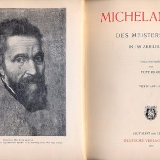 Michelangelo. Des meisters werke in 169 abbildungen. Herausgegeben von Fritz Knapp.