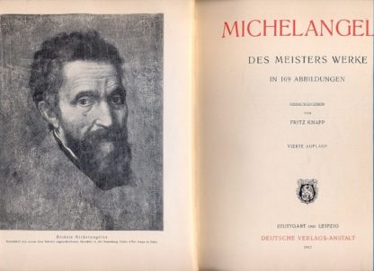 Michelangelo. Des meisters werke in 169 abbildungen. Herausgegeben von Fritz Knapp.