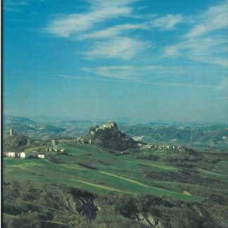 La collina reggiana. Ambiente naturale, vicende storiche e patrimonio culturale del medio Appennino reggiano.