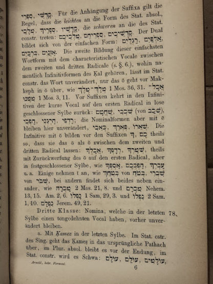 Abriss der Hebraischen Formenlehre zum Gebrauch auf Gymnasien und Universitaten.