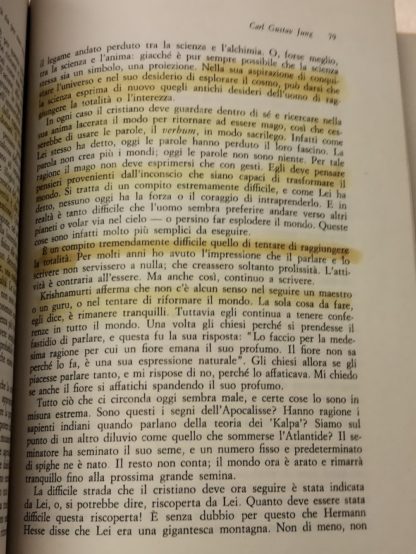 IL CERCHIO ERMETICO. CARL GUSTAV JUNG E HERMANN HESSE.